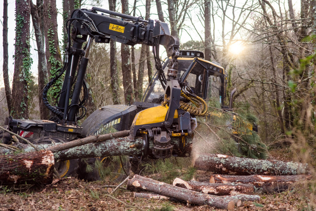 Forstwirtschaftliches Profi-Gerät zur Holzbearbeitung im Wald